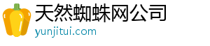天然蜘蛛网公司
